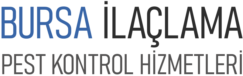 Bursa Böcek İlaçlama - Böcek İlaçlama - Bursa Haşere İlaçlama